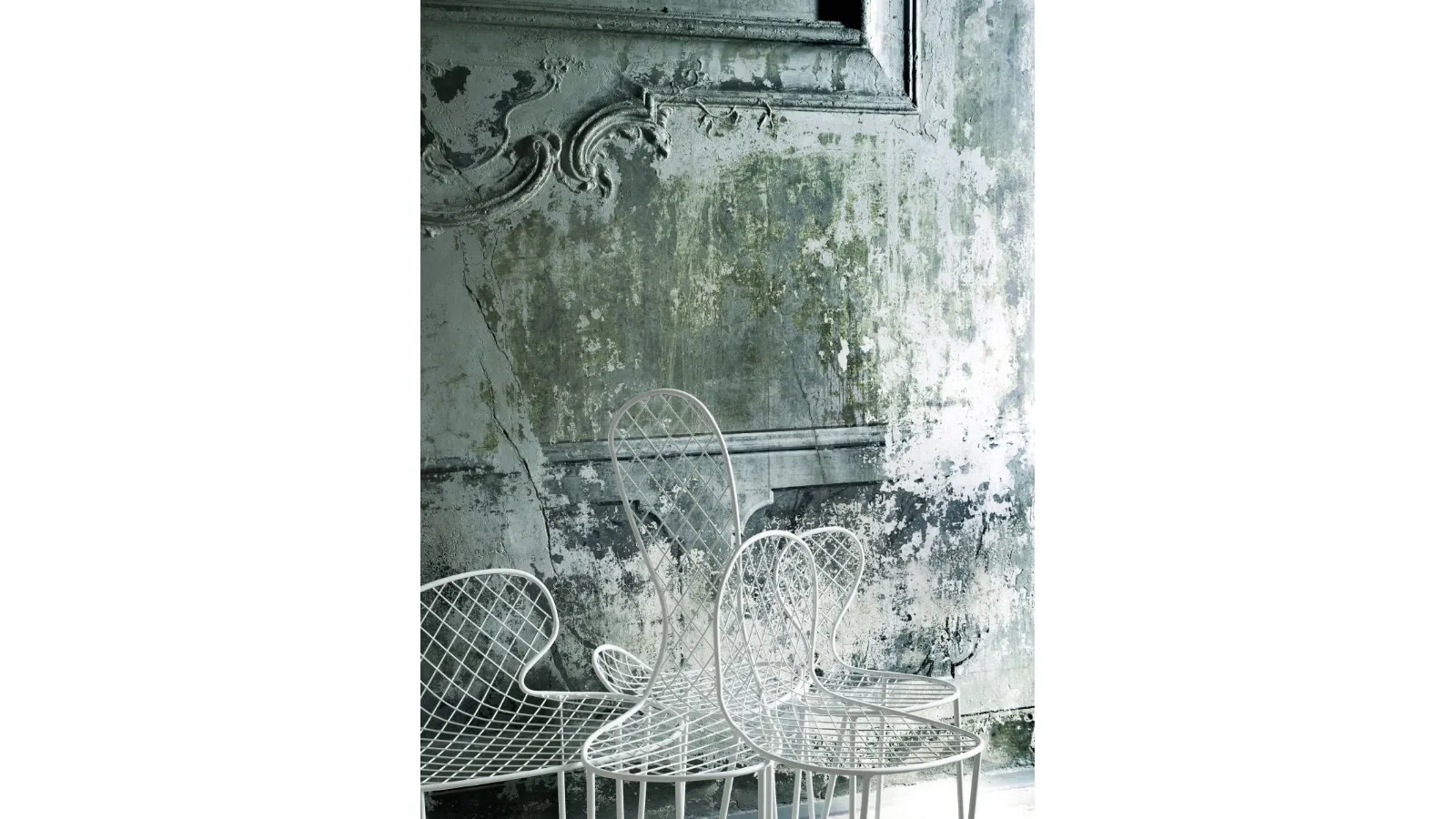 Sedia Family Chair di Living Divani