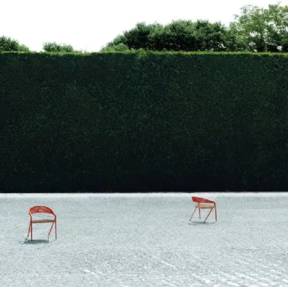 Sedia George con intreccio in corda e seduta in Iroko di Living Divani